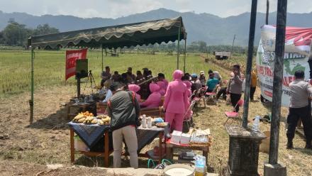PANEN RAYA JAGUNG SERENTAK OLEH POLRES TRENGGALEK DI PERSAWAHAN DESA POGALAN